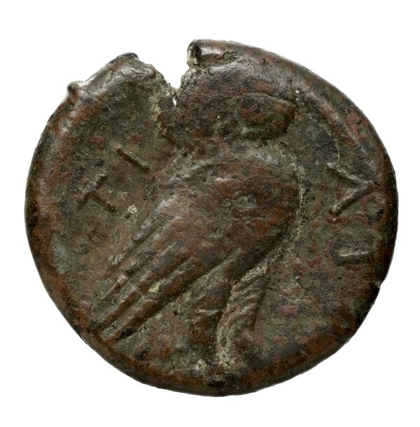 Heraclea Salbace BMC Heraclea Salbace 1-3, реверс, BnF (IRIS)