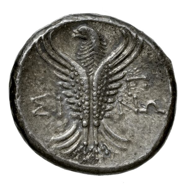 Menaenum Puglisi 2009 177, реверс, BnF (IRIS)