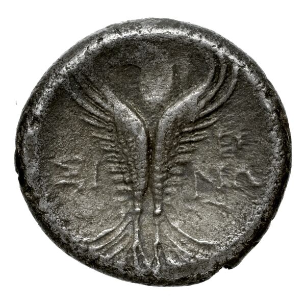 реверс Venusia Historia Numorum Italy 719
