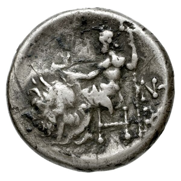 Sillyum BMC Sillyum 1, реверс, bnf-iris