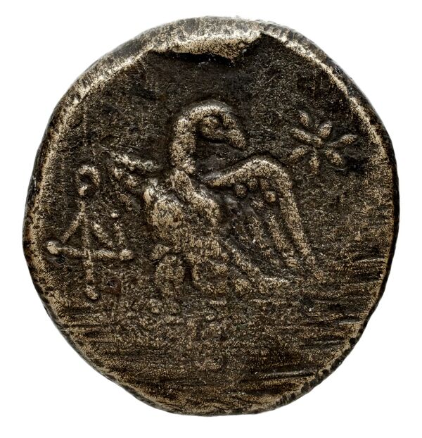 Amisus Waddington 1925 16, реверс, bnf-iris