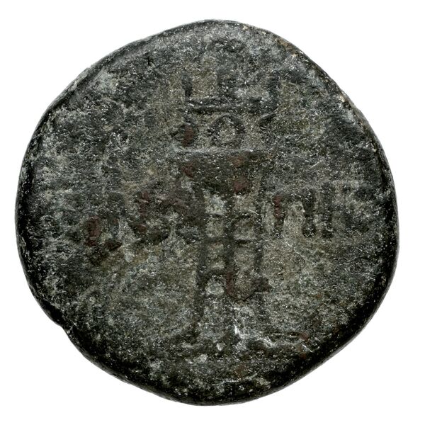 реверс Iasos ashton 2007 pl. 15, 245-6