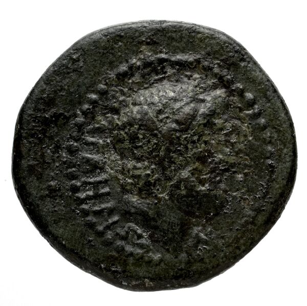Selinus Puglisi 2009 284, аверс, bnf-iris