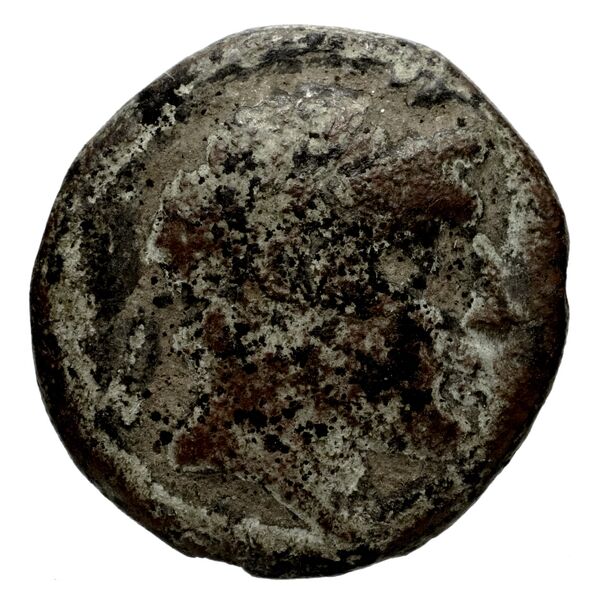 Aspendus BMC Aspendus 63-8, аверс, bnf-iris