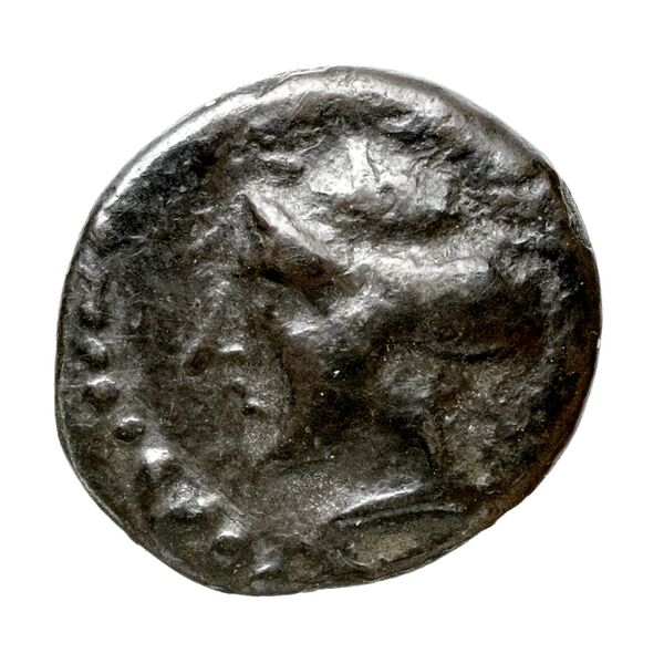 Nagidus Babelon 1910 1503-8, аверс, bnf-iris