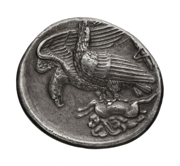 Aspendus BMC Aspendus 63-8, реверс, bnf-iris