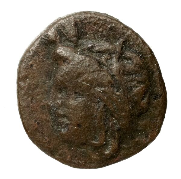 Myndus Zabel and Meadows 2002 p. 252, 1, аверс, bnf-iris