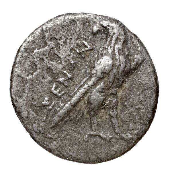 Aspendus BMC Aspendus 63-8, аверс, bnf-iris