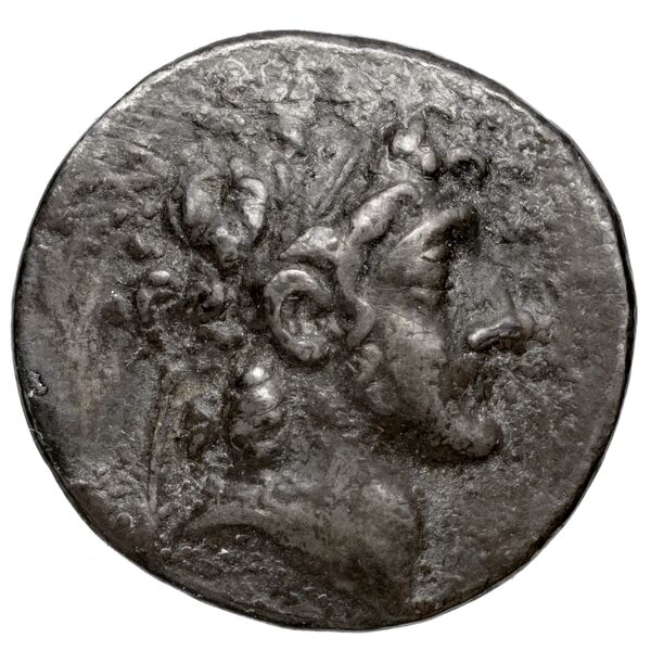 Aspendus BMC Aspendus 63-8, аверс, bnf-iris