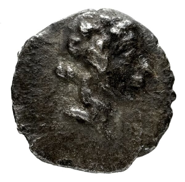 Myndus Zabel and Meadows 2002 Group C Trihemiobols, аверс, bnf-iris