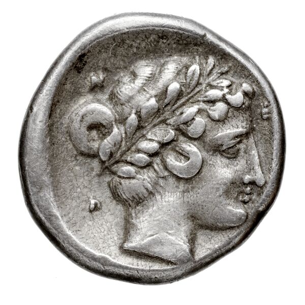 Myndus BMC Myndus 17, реверс, bnf-iris