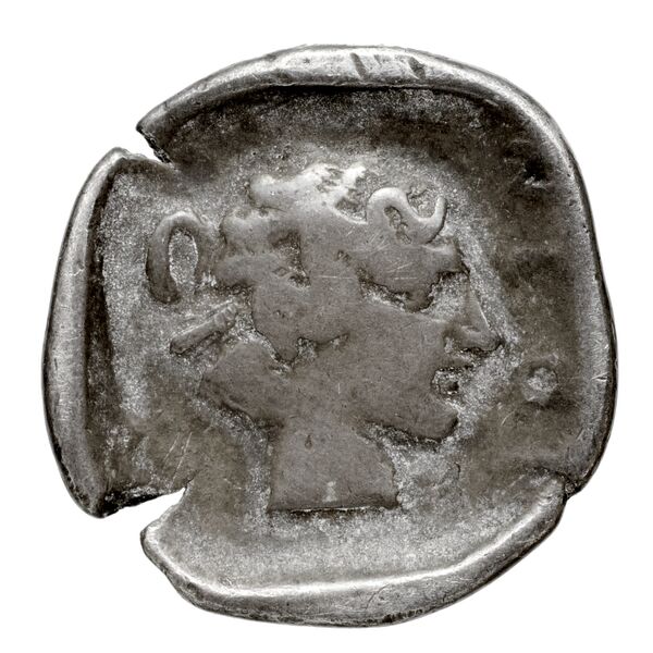 Myndus BMC Myndus 42-44, реверс, bnf-iris
