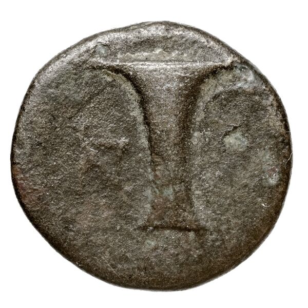 Aspendus BMC Aspendus 69-71, реверс, bnf-iris
