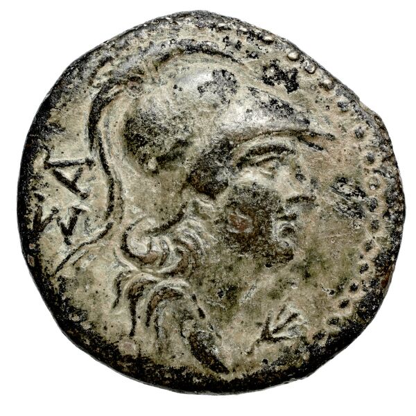 Pella AMNG III.2 4, аверс, bnf-iris