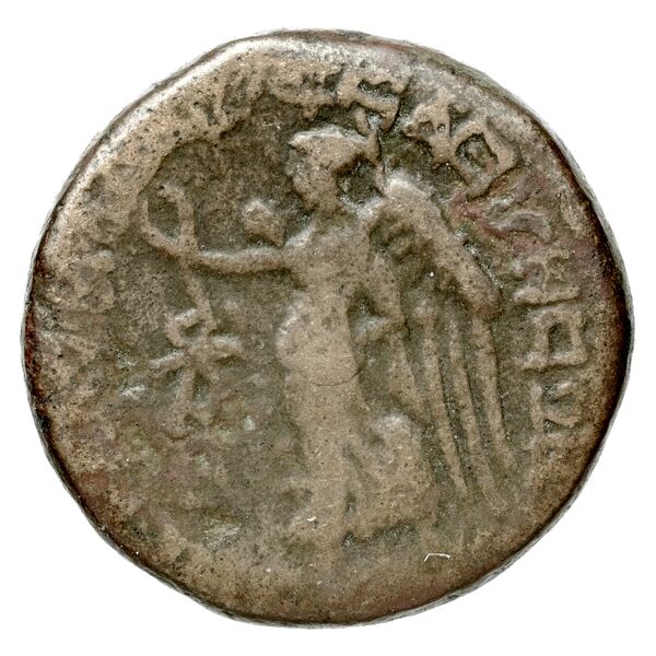 Pella AMNG III.2 4, реверс, bnf-iris
