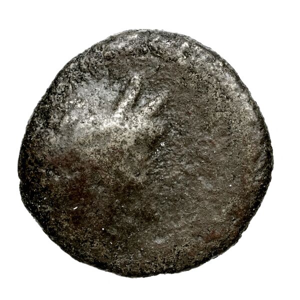 Pella AMNG III.2 4, аверс, bnf-iris