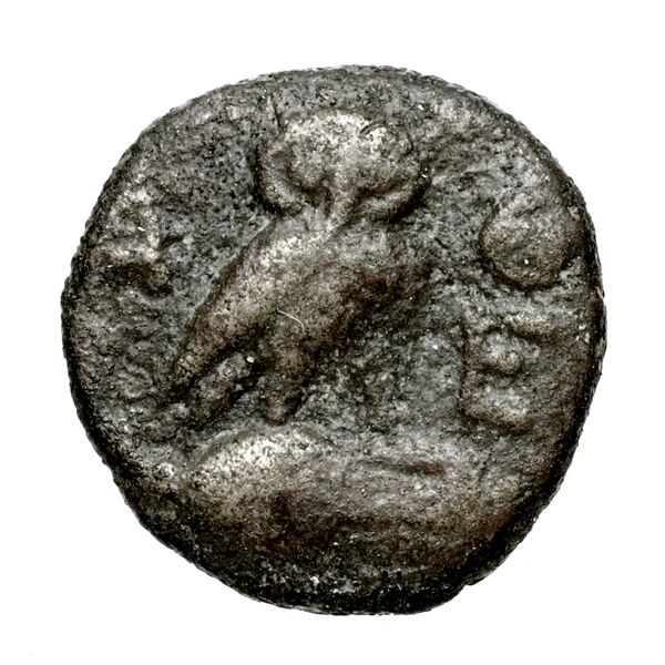 Pella AMNG III.2 4, реверс, bnf-iris