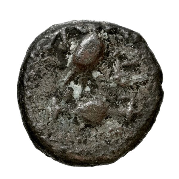 Pella AMNG III.2 1-2, реверс, bnf-iris