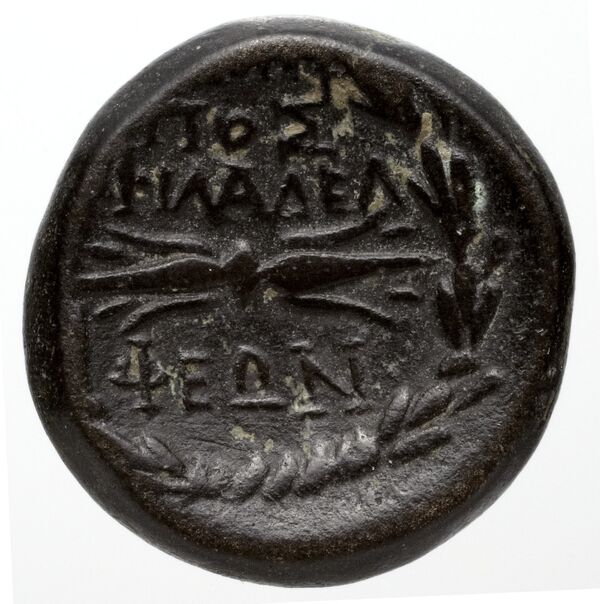 Pella AMNG III.2 14-15, реверс, bnf-iris