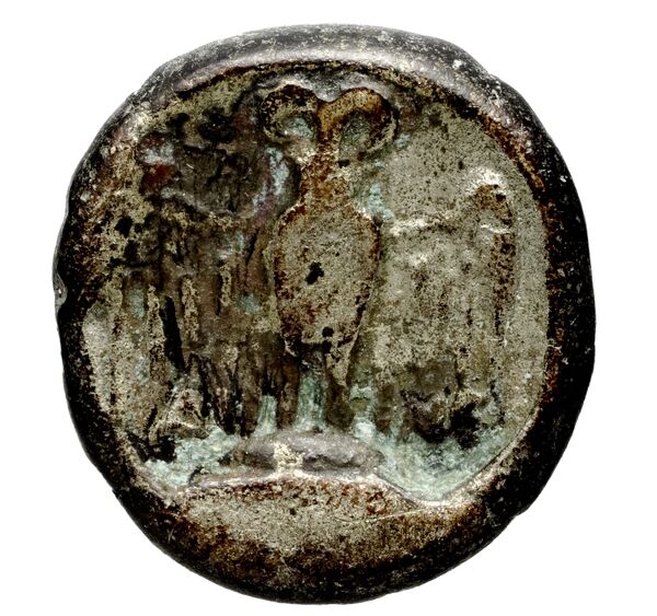 Pella AMNG III.2 14-15, реверс, bnf-iris