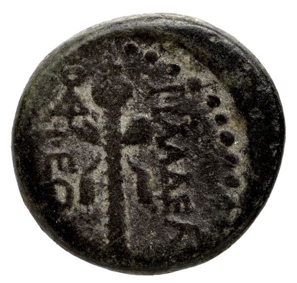 Philadelphia Hochard 2020 2.1, реверс, bnf-iris