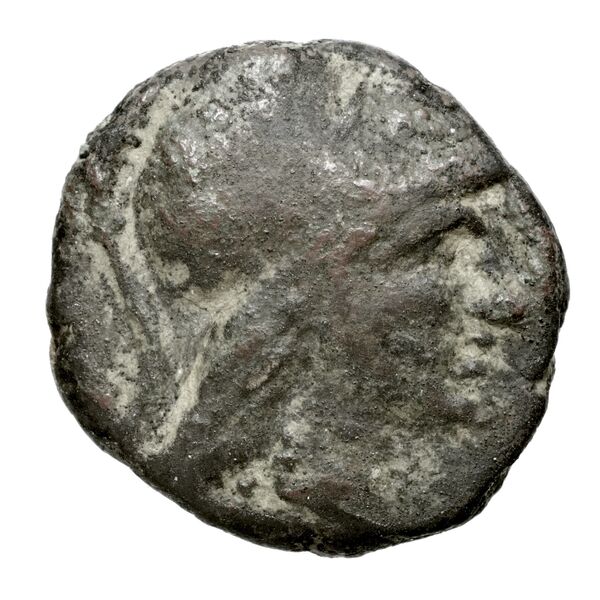 Pella AMNG III.2 14-15, аверс, bnf-iris