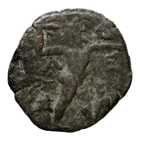Pella AMNG III.2 14-15, реверс, bnf-iris