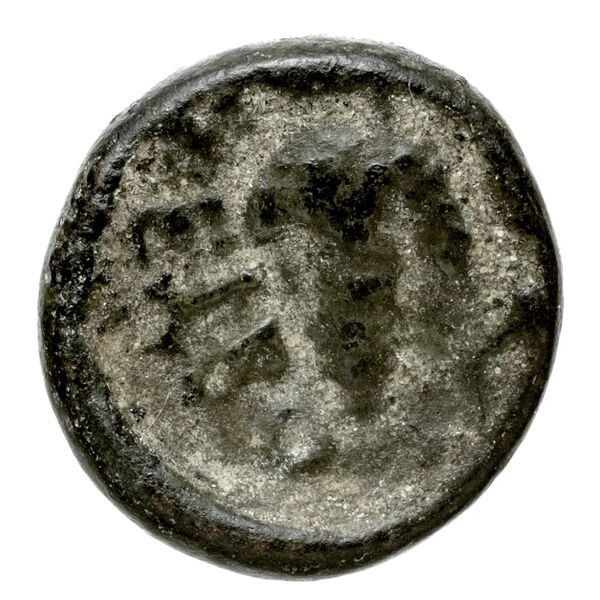 Oeniadae BMC Oeniadae 6-14, реверс, BnF (IRIS)