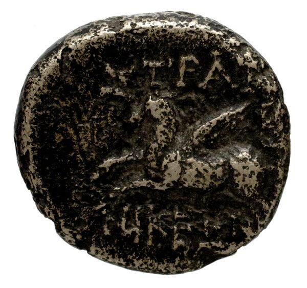 Pella AMNG III.2 14-15, реверс, bnf-iris