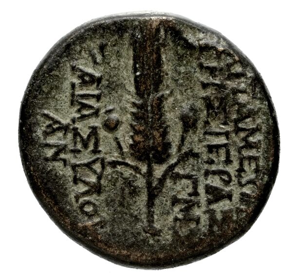 Pella AMNG III.2 6-7, реверс, bnf-iris