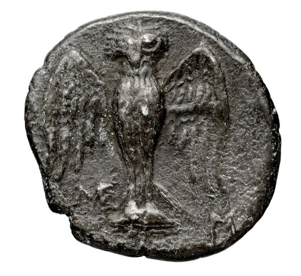 реверс Pella AMNG III.2 10-11