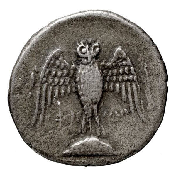 Pella AMNG III.2 12, реверс, bnf-iris