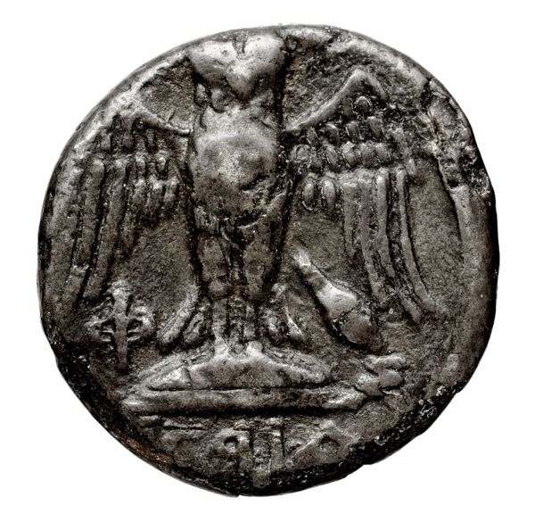 Pella AMNG III.2 12, реверс, bnf-iris