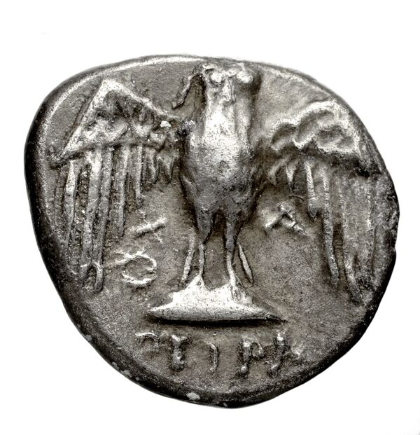 Pella AMNG III.2 8, реверс, bnf-iris