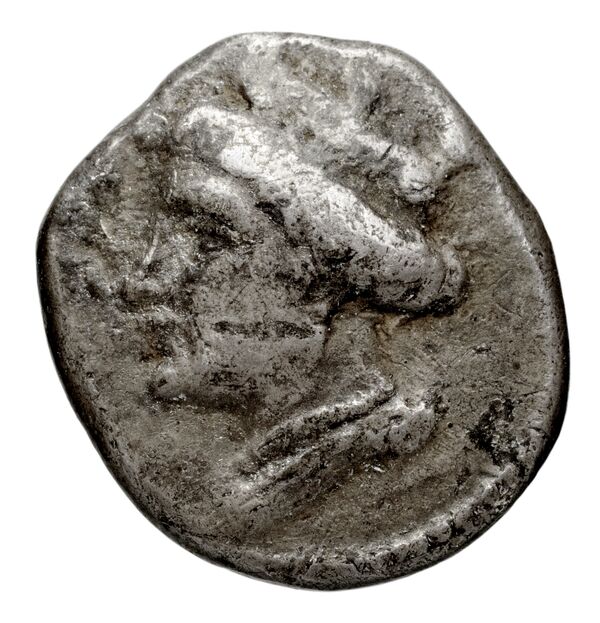 Pella AMNG III.2 8, аверс, bnf-iris