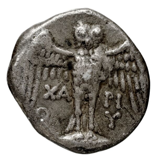 Pella AMNG III.2 8, реверс, bnf-iris