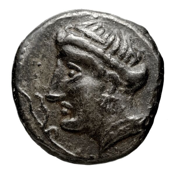 Pella AMNG III.2 8, аверс, bnf-iris