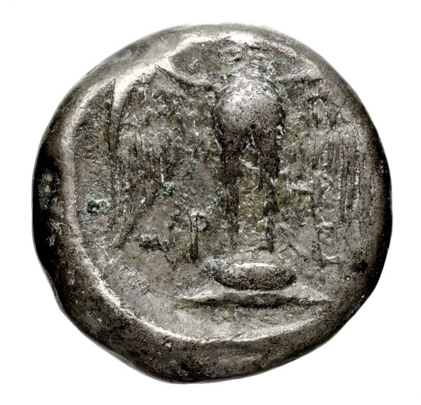 Pella AMNG III.2 17, реверс, bnf-iris