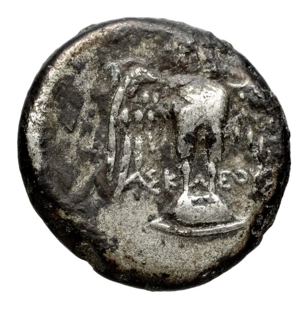 Amisus Waddington 1925 11, реверс, bnf-iris
