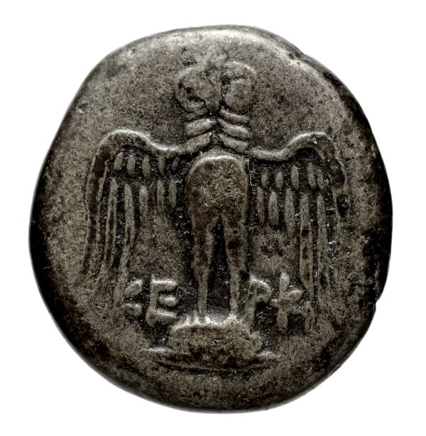 Amisus Waddington 1925 11, реверс, bnf-iris