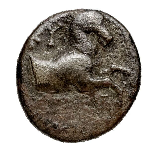 Aspendus BMC Selge 58, аверс, bnf-iris