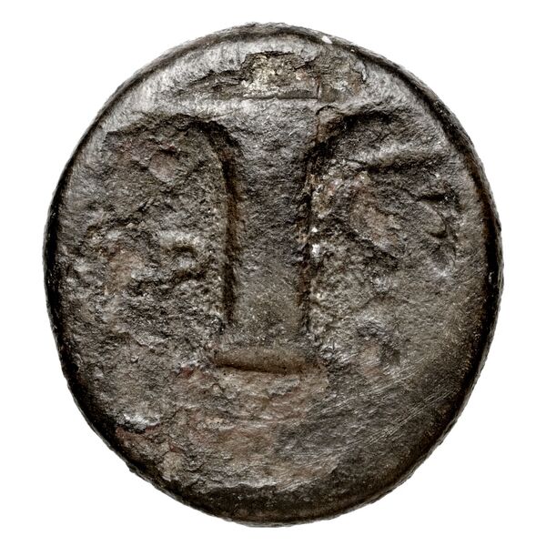 Aspendus BMC Selge 58, реверс, bnf-iris