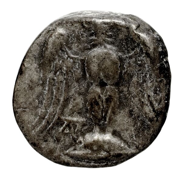 Amisus Waddington 1925 11, реверс, bnf-iris
