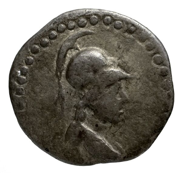 Amisus Waddington 1925 11, аверс, bnf-iris
