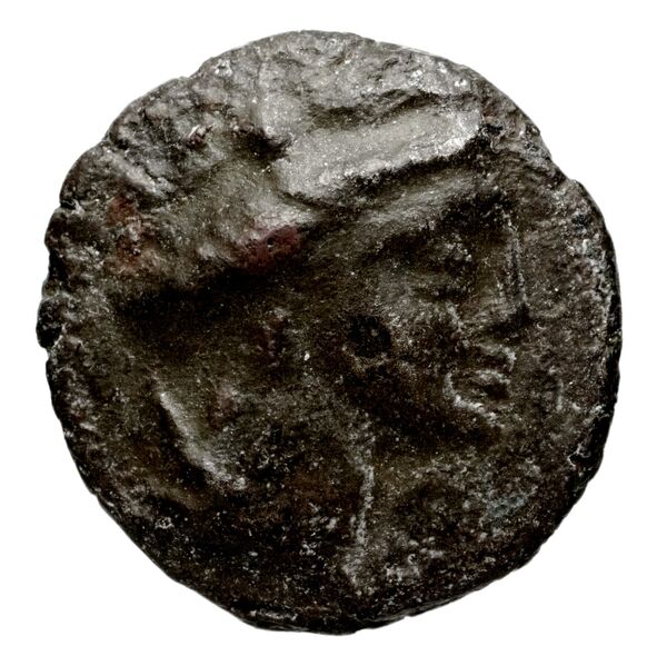 Amisus Waddington 1925 11, аверс, bnf-iris
