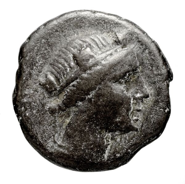 Amisus Waddington 1925 11, аверс, bnf-iris