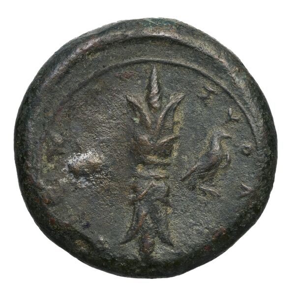 Syracuse Puglisi 2009 304, реверс, bnf-iris