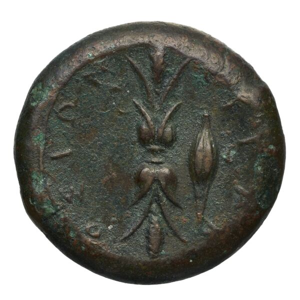 Syracuse Puglisi 2009 304, реверс, bnf-iris