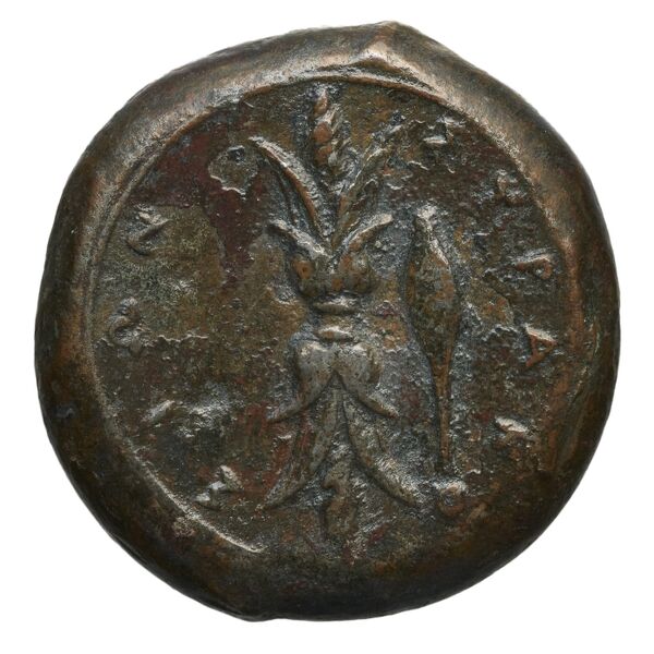 Syracuse Puglisi 2009 304, реверс, bnf-iris