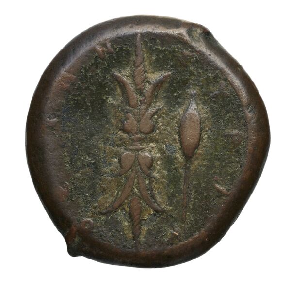 Syracuse Puglisi 2009 304, реверс, bnf-iris